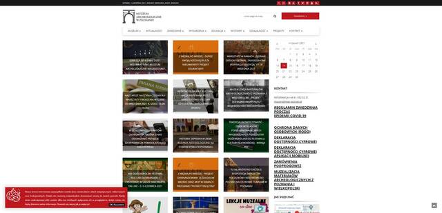 Strona internetowa Muzeum Archeologicznego w Poznaniu