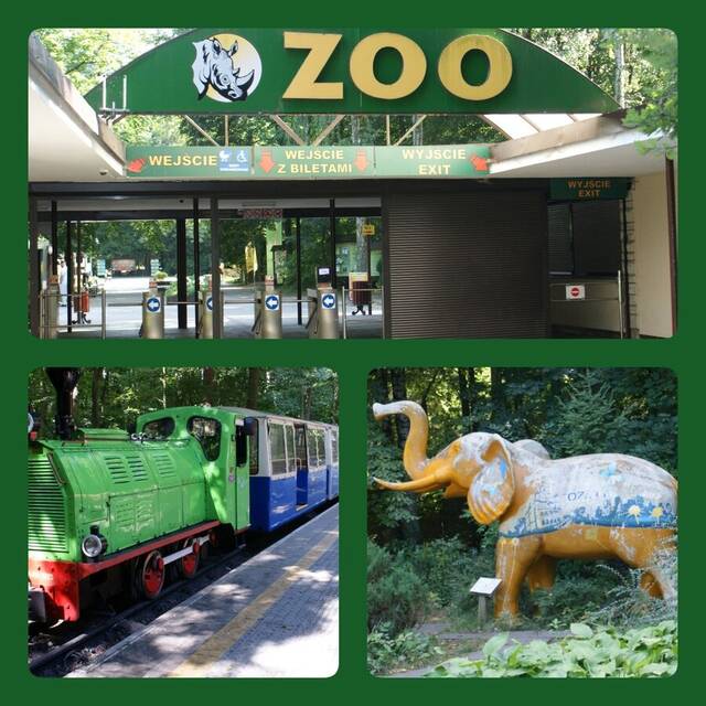 Zdjęcie zoo w Poznaniu